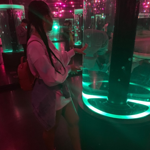 Meet your Posher, Ciara - Picture 1 of 1